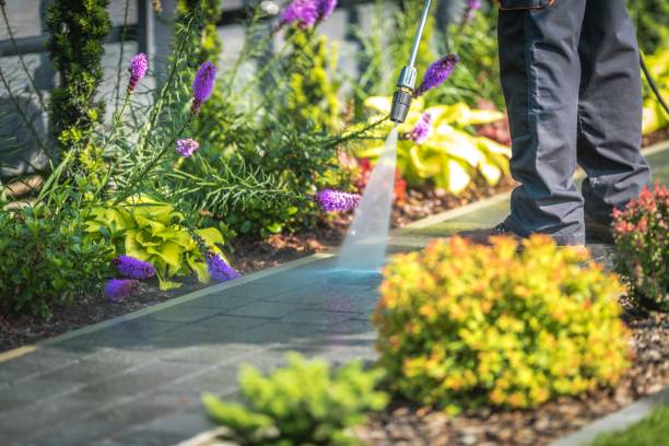 Bystrom, CA  Pressure Washing Services Company